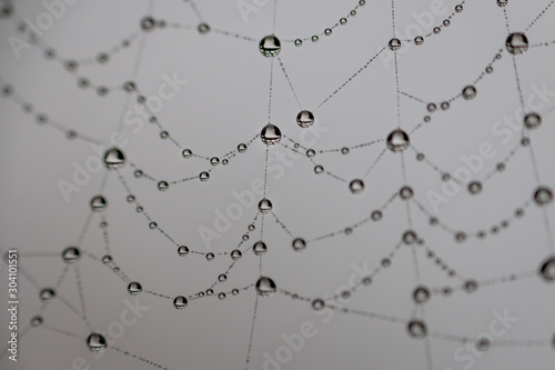 Macro picture of little water drops in a spiderweb taken in wintertime  the Netherlands
