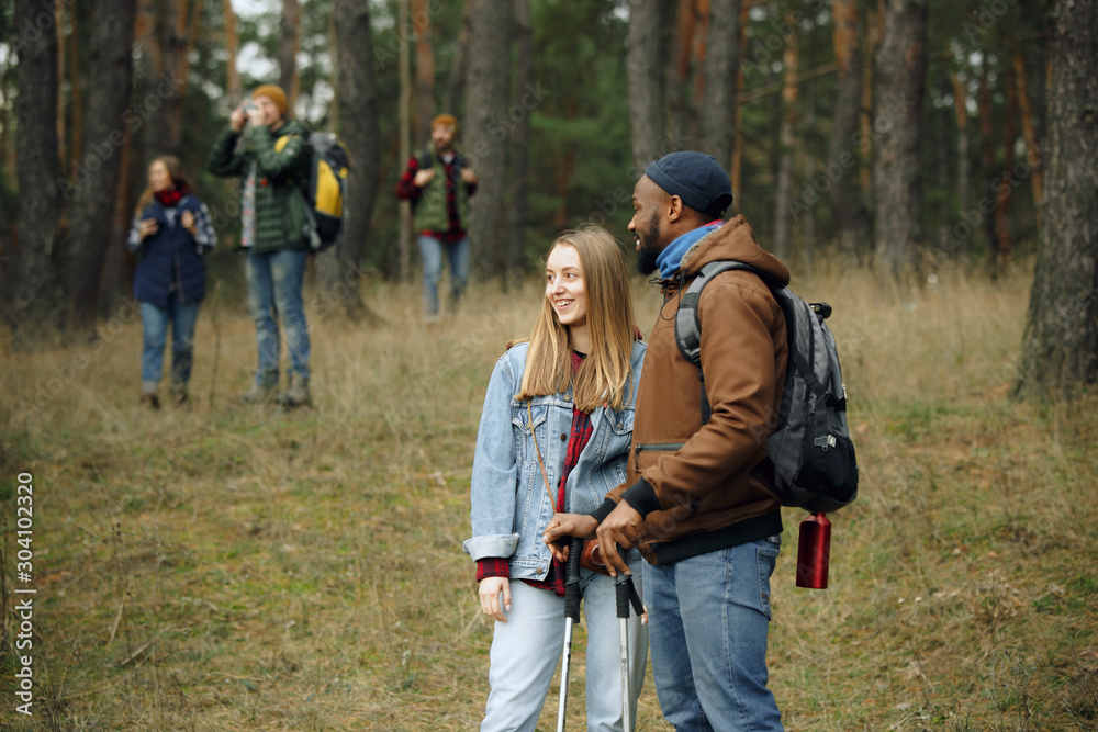 Fototapeta premium Group of friends on a camping or hiking trip in autumn day. Men and women with touristic backpacks going throught the forest, talking, laughting. Leisure activity, friendship, weekend.