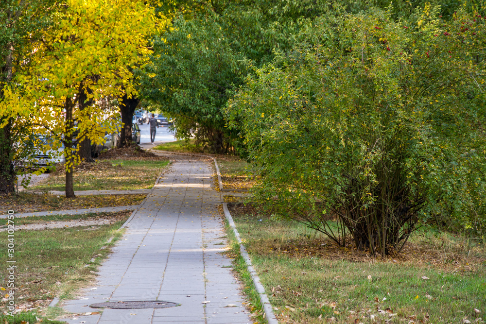 Beautiful autumn path in the city, colorful trees, beauty in nature