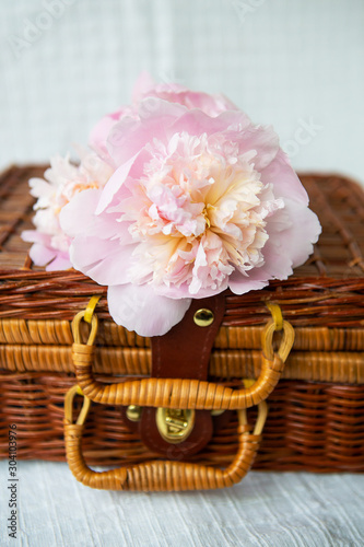 A very beautiful bouquet of pink peonies in a vase stands on a wooden suitcase. Beautiful composition.