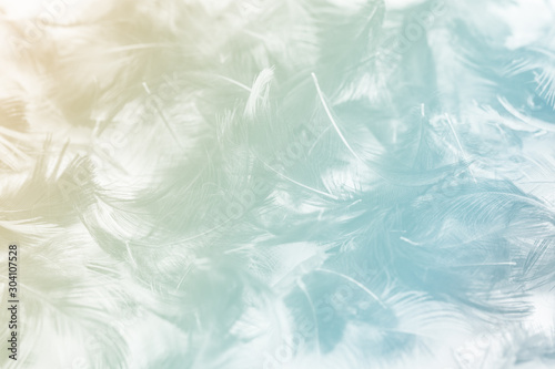 Blurred pastel feather blur, Pastel colors are simulated in feathers