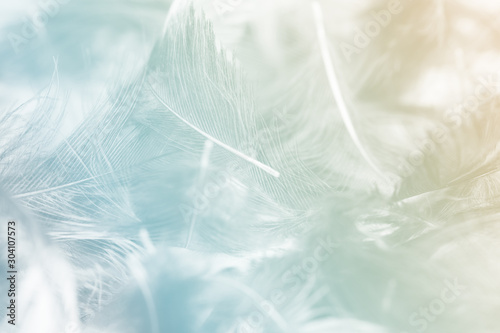 Blurred pastel feather blur, Pastel colors are simulated in feathers