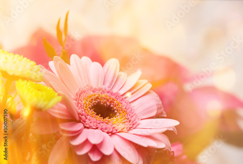 close up of a colorful bouquet with bokeh and light flares