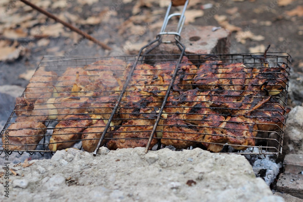 barbecue on the grid near the stones barbecue on the grid near the stones