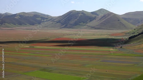  Castelluccio fiorita fissa 2016
