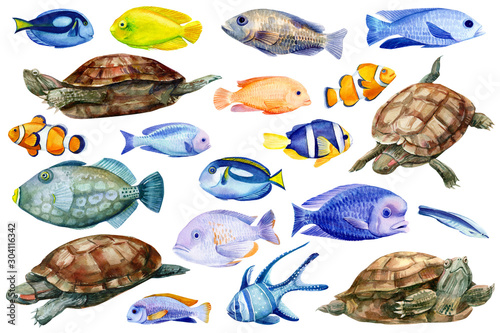 fish on isolated white background, watercolor illustration, hand drawing