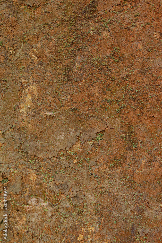 Red soil Red soil