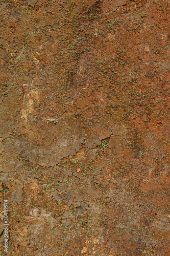 Canvas-taulu Red soil