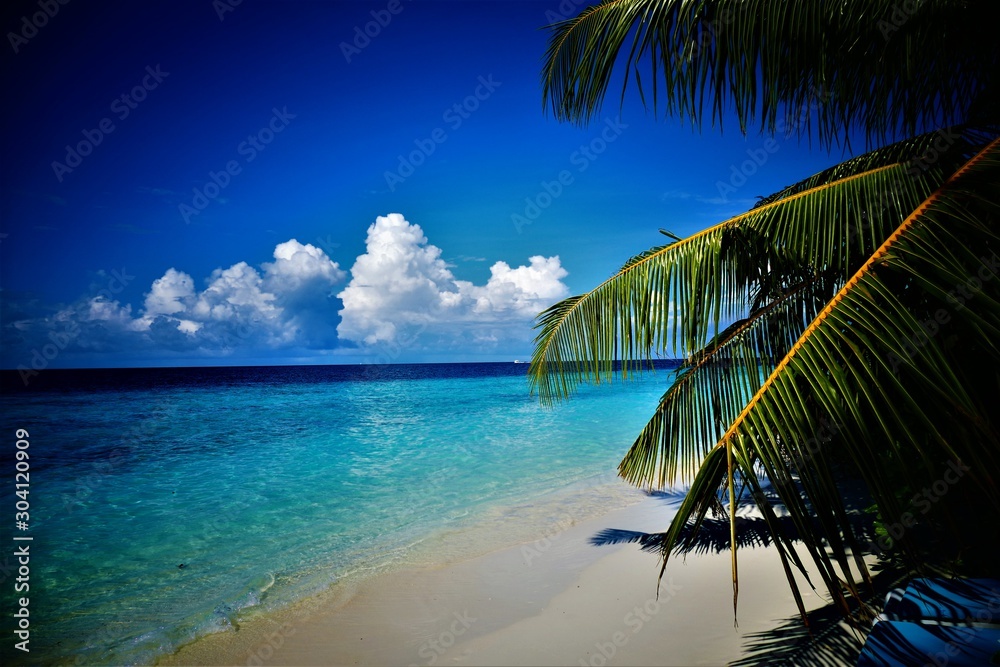 Naklejka premium Beach