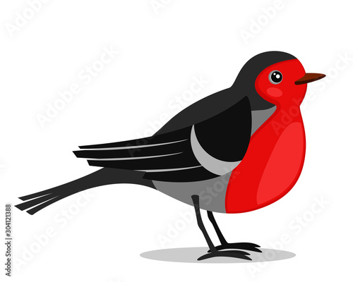 Bullfinch bird with red belly on a white. Isolated