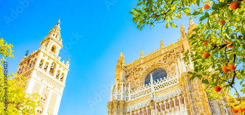 Sunny Sevillla view with Cathedral and Giralda tower photo