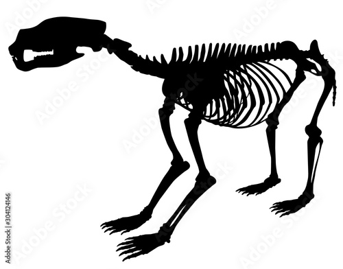 silhouette skeleton of a bear vector
