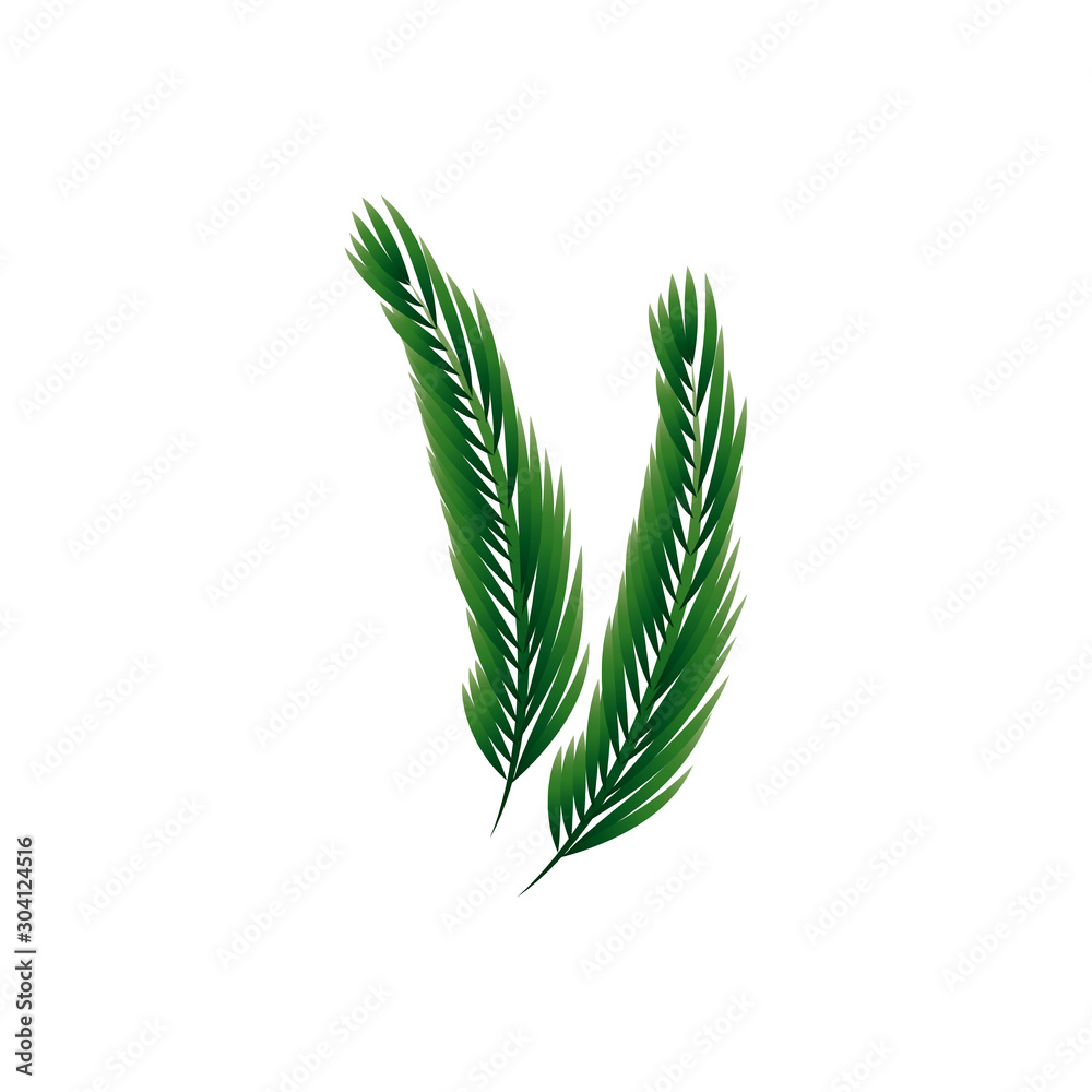 branch with leafs nature ecology isolated icon vector illustration design branch with leafs nature ecology isolated icon vector illustration design