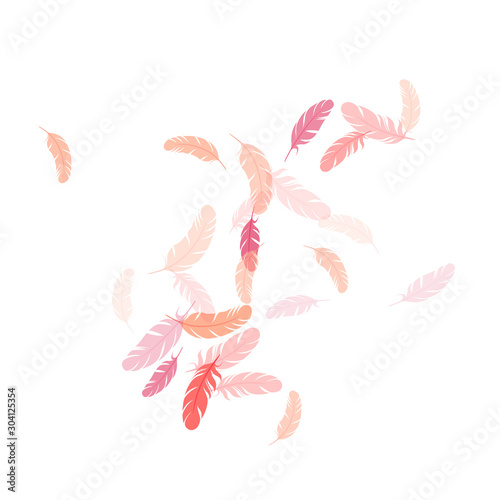 Falling feather elements soft vector design.