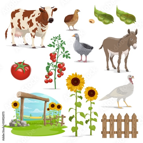 Farm field, animals and vegetables. Agriculture