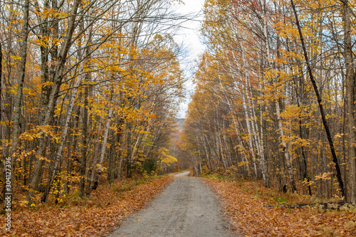 Autumn Dirt Road photo