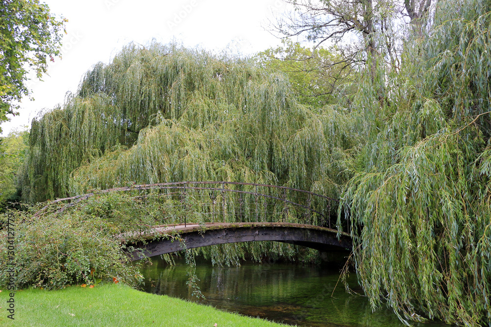 A bridge over a river surrounded by weeping willow trees A bridge over a river surrounded by weeping willow trees