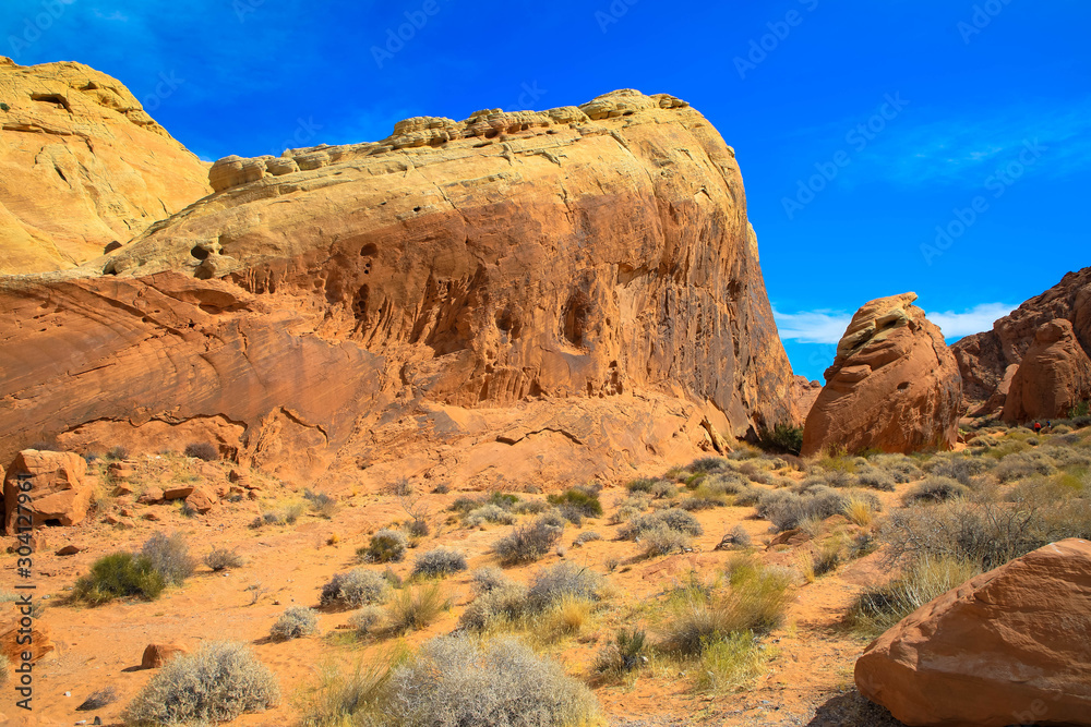 Fototapeta premium Sansteinformationen im Valley of Fire, Nevada