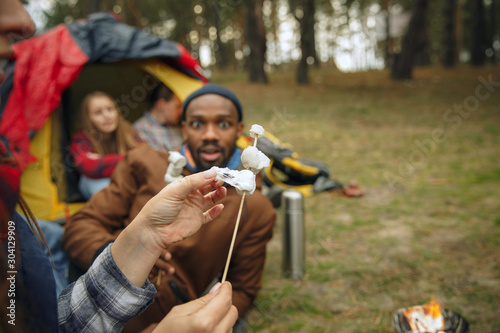 Close up of marshmallow and man smiling with group of friends on a background on camping in forest. Having break in the forest  talking  laughting. Leisure activity  friendship  weekend  nature.