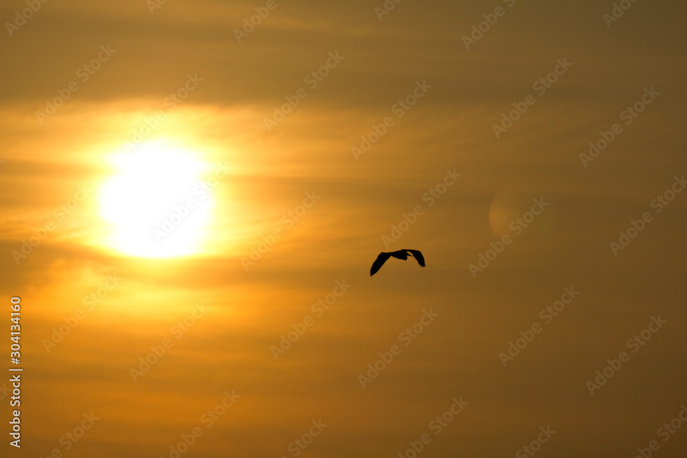 A heron in flight against an orange sunset