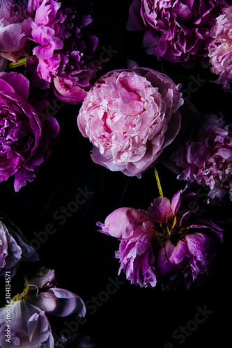 Wallpaper Mural Close up of peony flowers Torontodigital.ca