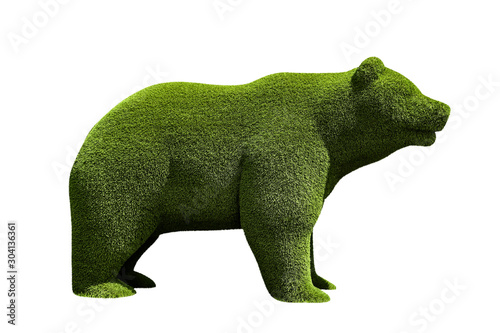 Vászonkép Beautiful bear shaped topiary isolated on white