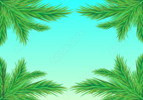 Frame of fir branches on a blue background.