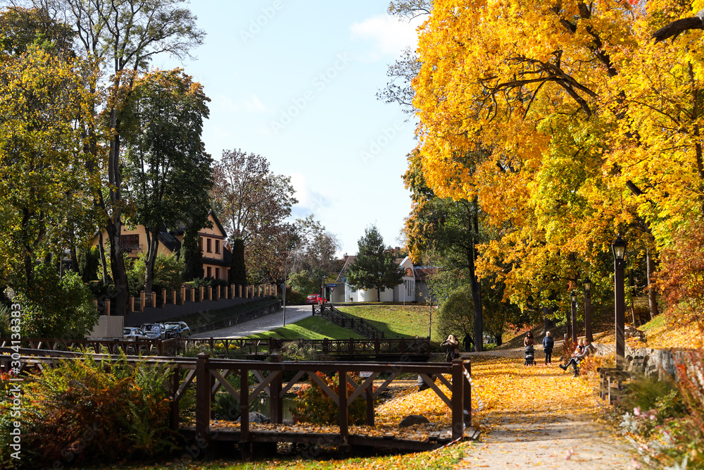 Countryside city view of lovely pond with yellow fallen tree leaves. Countryside city view of lovely pond with yellow fallen tree leaves.