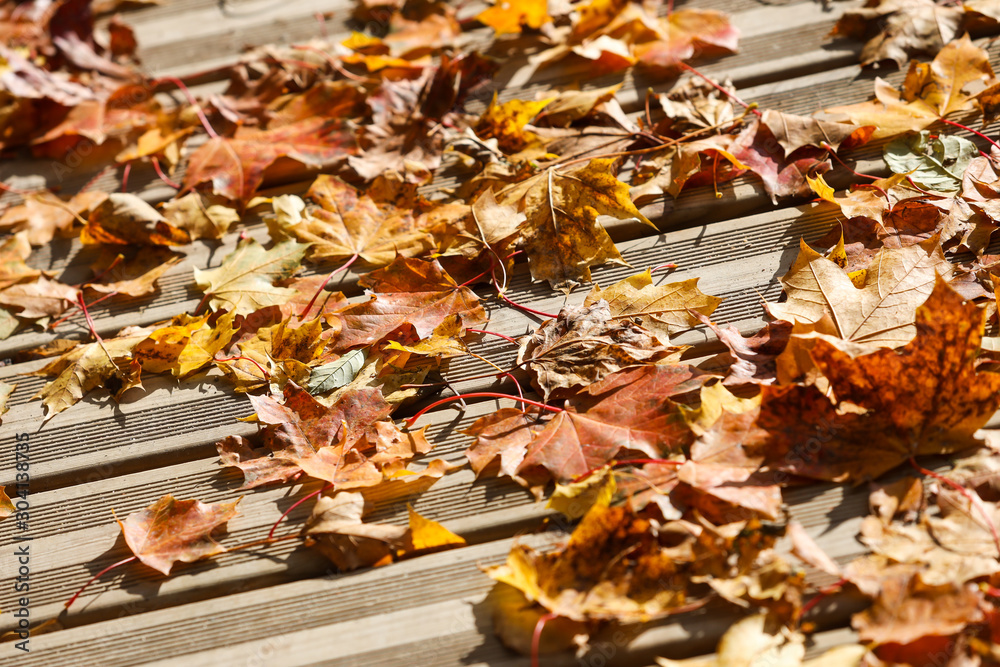 Obraz premium Autumn view of orange leaves fallen on wood pedestrian path on a sunny day.