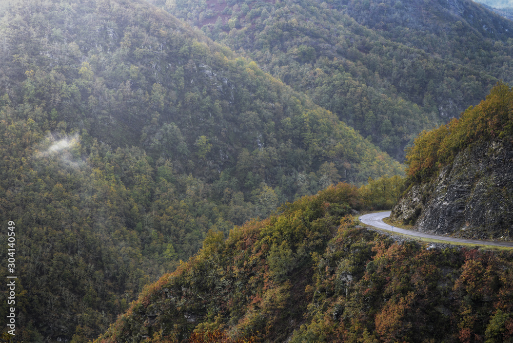 A Road enters between covered slopes of Autumnal Forest A Road enters between covered slopes of Autumnal Forest
