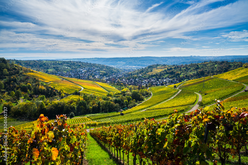 Germany, Autumn mood in vineyard nature landscape in warm evening sunlight, beautiful view over stuttgart uhlbach from above
