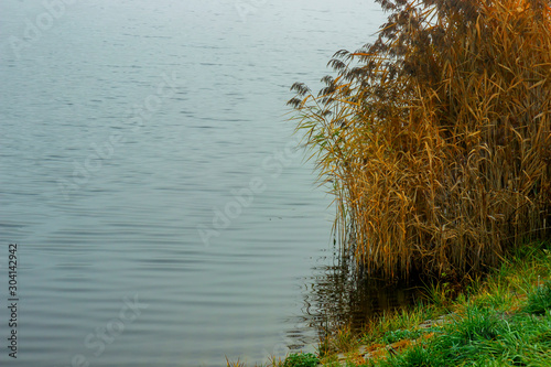 Nature autumn fall of the Mukhavets river - Belarus. photo