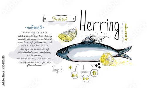 Fish hand drawn set watercolor ink, food vitamin menu restaurant, sketch cartoon vector illustration photo