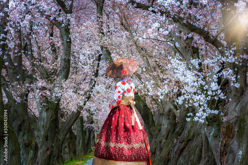 Photography Cherry Blossom with Korean national dress .