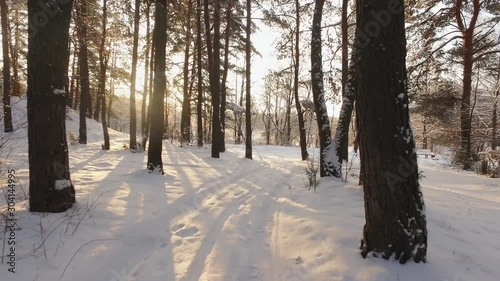 Driving on snow covered road in winter forest at sunset. The sun comes from the trees