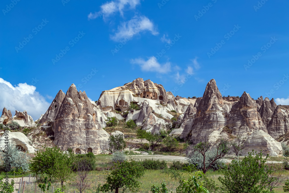 Rose Valle Goreme Cappadocia, Anatolia, Turkey.