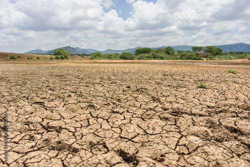 A dried up lake bed due to lack of rain with trees and hills in background, Kajiado County, Kenya