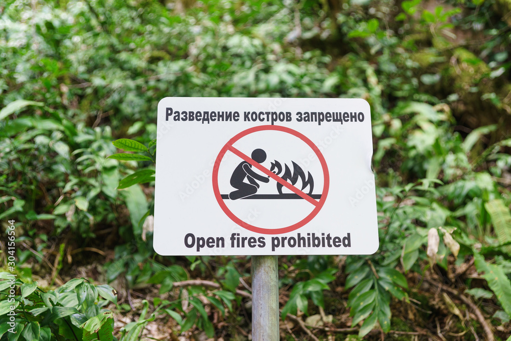 Prohibiting the cultivation of fires sign-pictogram in the yew-Box grove. Khosta, Sochi, Krasnodar region