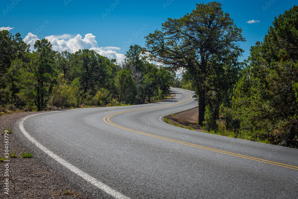 road next to the rim of the Grand Canyon National Park, Arizona, USA. During a sunny summer day