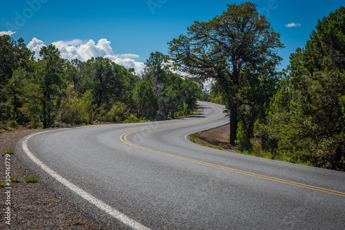 road next to the rim of the Grand Canyon National Park, Arizona, USA. During a sunny summer day © Rob