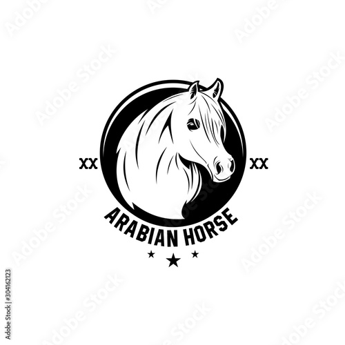 arabian horse team logo