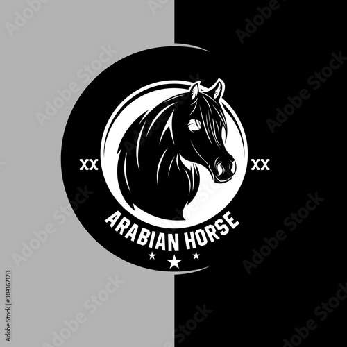 arabian horse team logo