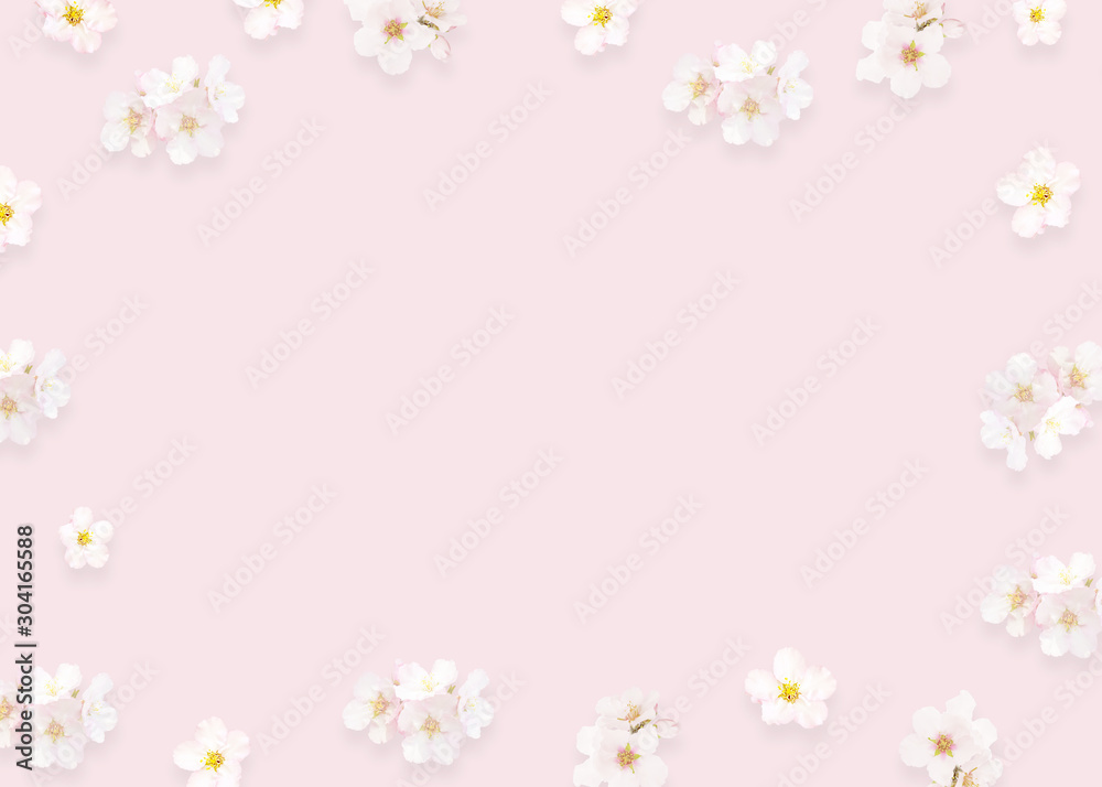 Flowers composition, minimalist pink background, top view. Almond, peach, sakura flowers spring concept, flat lay. Mothers Day, wedding cute design elements, space for text. Spring flower background.