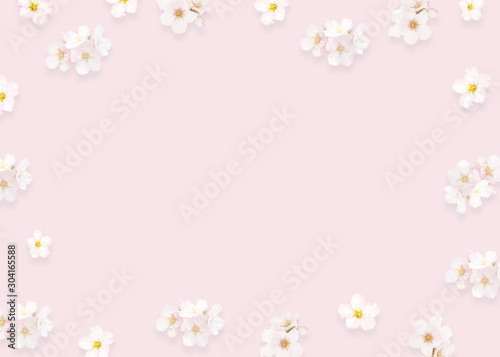 Flowers composition  minimalist pink background  top view. Almond  peach  sakura flowers spring concept  flat lay. Mothers Day  wedding cute design elements  space for text. Spring flower background.