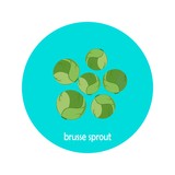 Vector brussels sprout icon isolated on white background.  Flat blue circle icon with vegetable. Healthy food. 