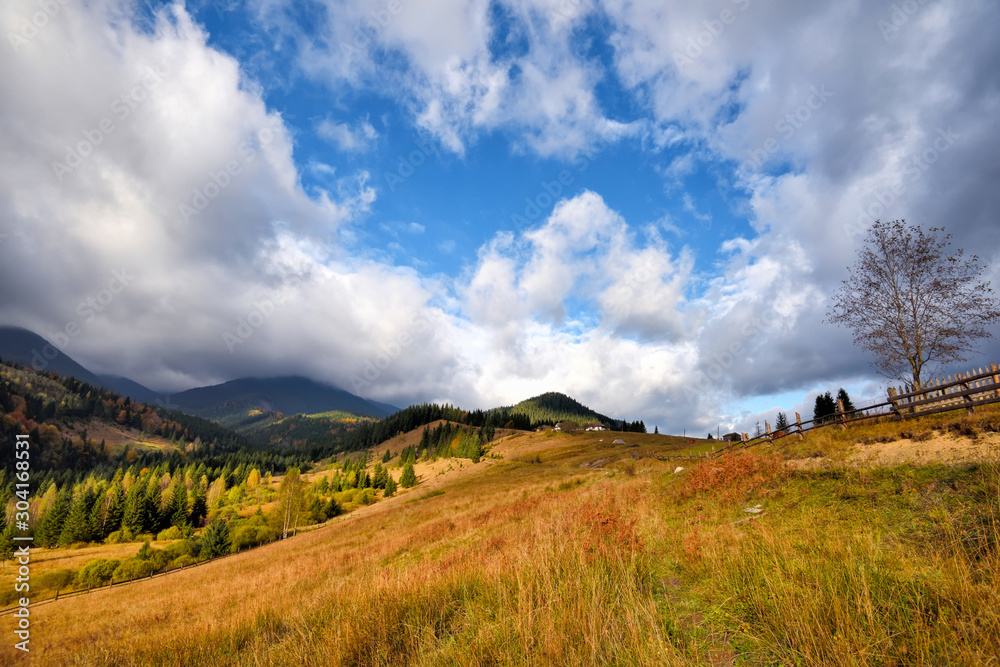 Amazing mountain landscape with colorful trees and herbs. Autumn sunny morning. Carpathian, Ukraine, Europe Amazing mountain landscape with colorful trees and herbs. Autumn sunny morning. Carpathian, Ukraine, Europe
