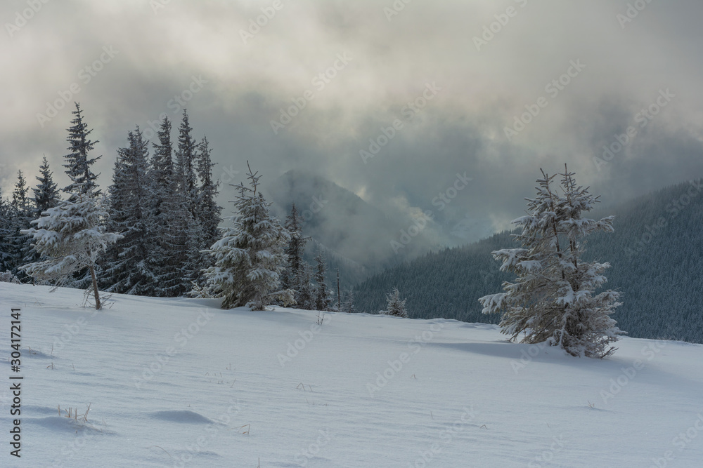 Obraz premium Fogs and clouds in winter Ukrainian Carpathians with snow-covered trees and mountain peaks