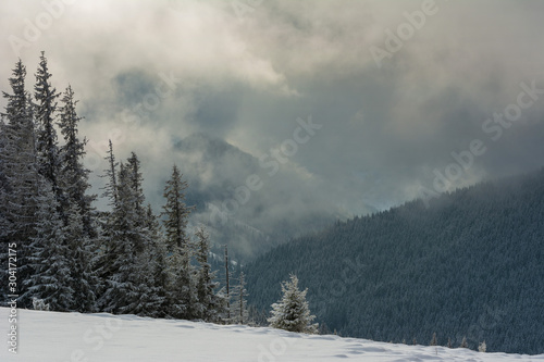 Fogs and clouds in winter Ukrainian Carpathians with snow-covered trees and mountain peaks