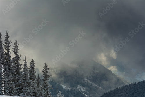 Fogs and clouds in winter Ukrainian Carpathians with snow-covered trees and mountain peaks