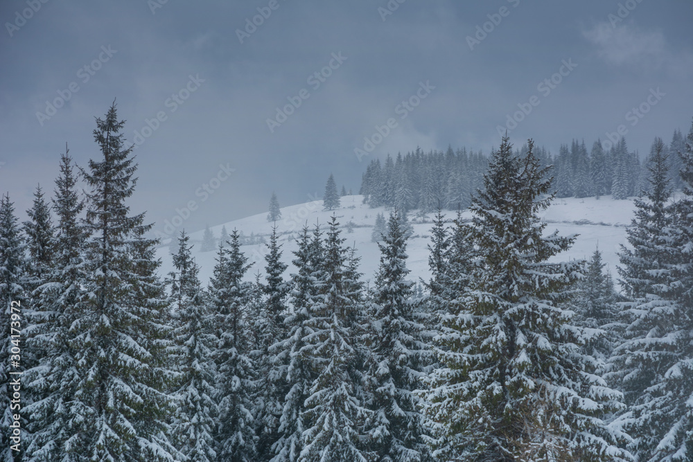 A bright winter in the Ukrainian Carpathian Mountains with snow-capped mountain peaks and picturesque meadows with mountain lodges and hikers.